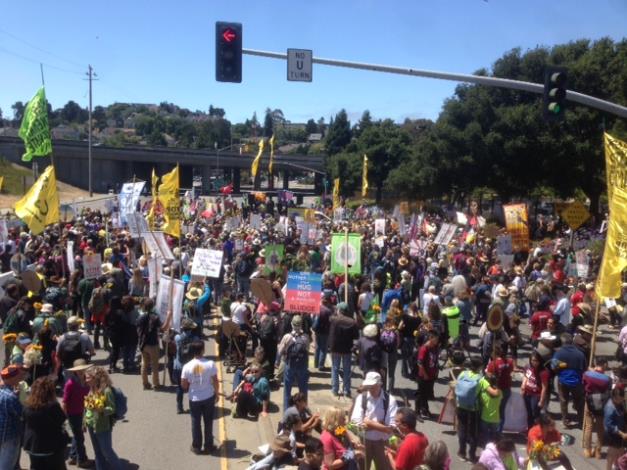 Chevron Crowd
